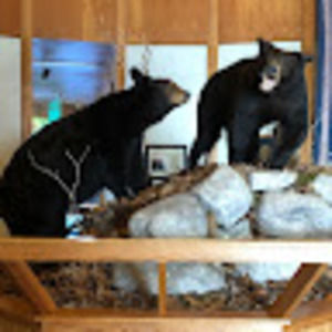 Meet your Posher, Josh